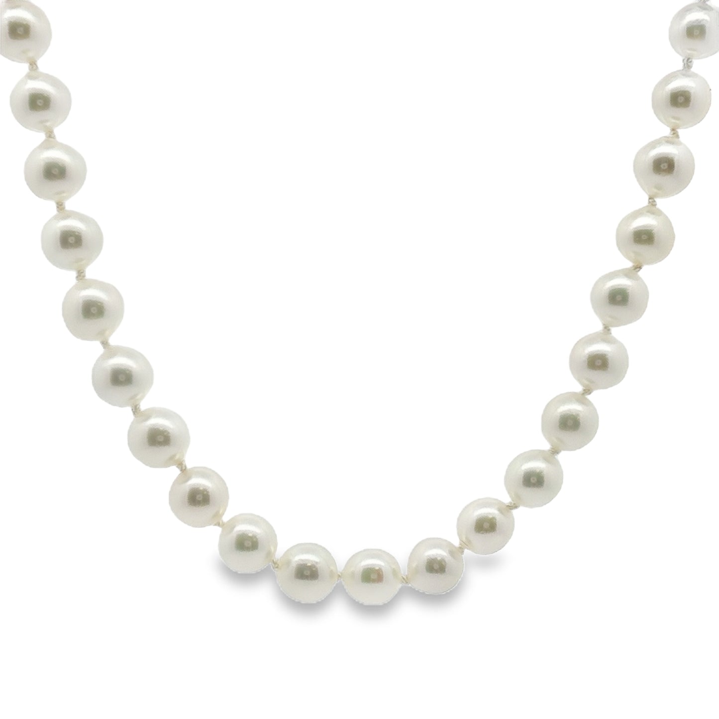 14K White Akoya Akoya Single Strand