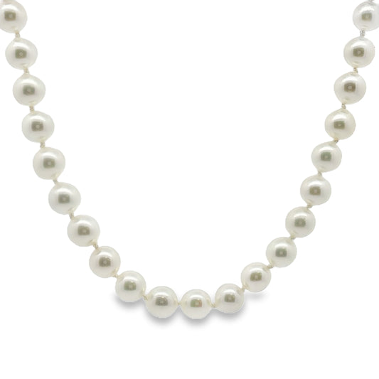 14 Karat White Gold Single Strand Akoya Pearl Necklace