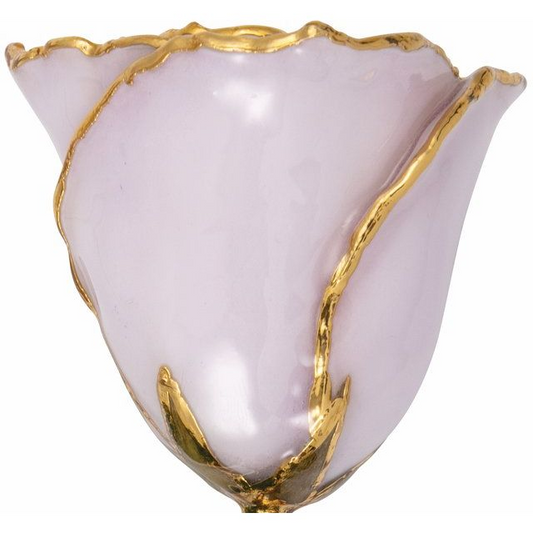 24K Gold Plated Lacquered Lavender Rose with Gold Trim