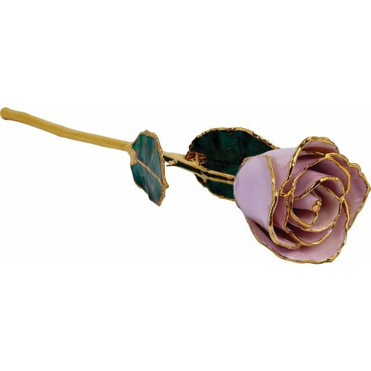 24K Gold Plated Lacquered Lavender Rose with Gold Trim