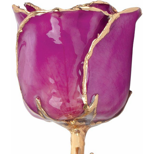 24K Gold Plated Lacquered Amethyst Purple Colored Rose with