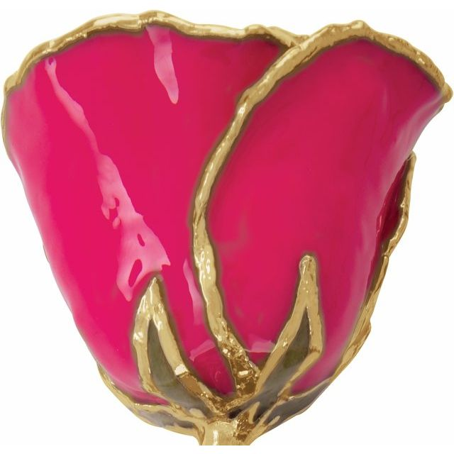 24K Gold Plated Lacquered Magenta Rose with Gold Trim