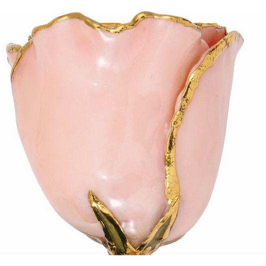 24K Gold Plated Lacquered Pink Pearl with Gold Trim